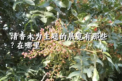 清香木为主题的展览有那些？在哪里