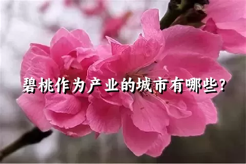 碧桃作为产业的城市有哪些？