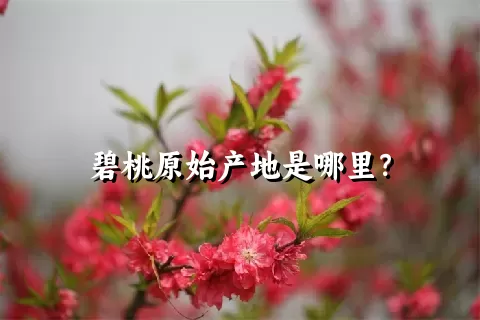 碧桃原始产地是哪里？