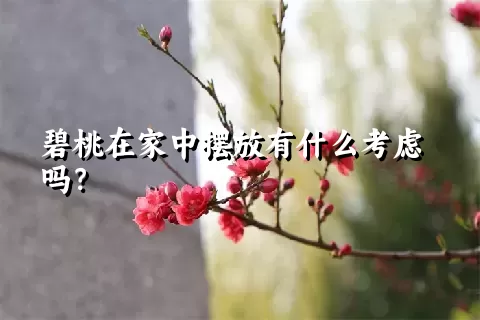 碧桃在家中摆放有什么考虑吗？