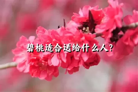 碧桃适合送给什么人？