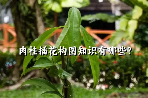 肉桂插花构图知识有哪些？