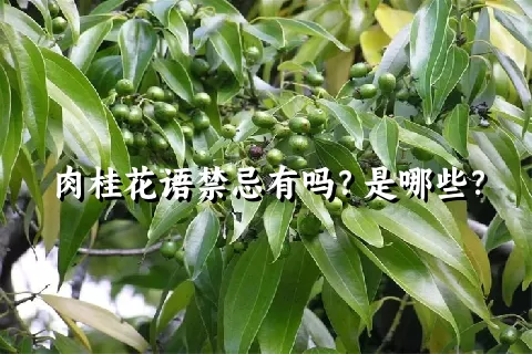 肉桂花语禁忌有吗？是哪些？