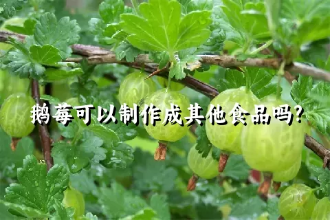 鹅莓可以制作成其他食品吗?