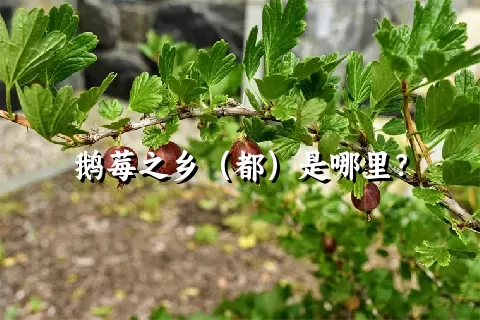 鹅莓之乡（都）是哪里？