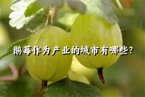 鹅莓作为产业的城市有哪些？