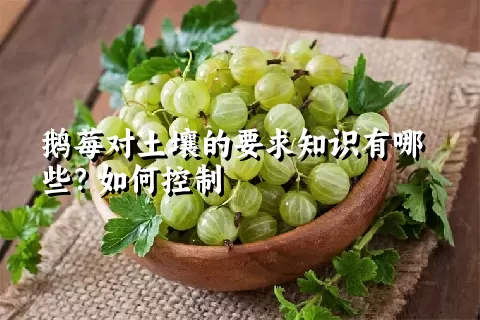 鹅莓对土壤的要求知识有哪些？如何控制