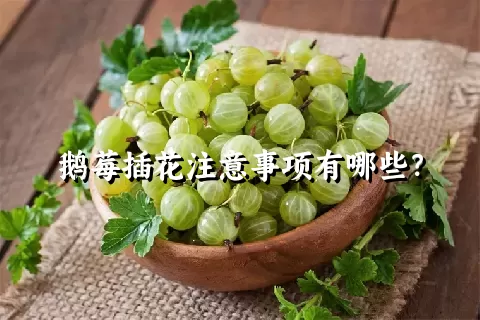 鹅莓插花注意事项有哪些？