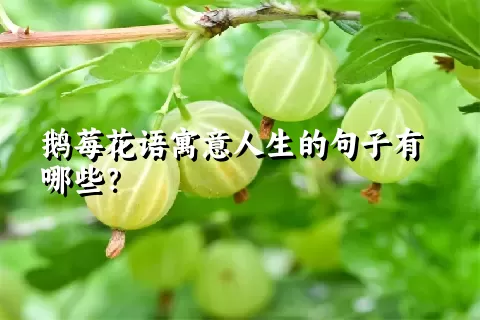 鹅莓花语寓意人生的句子有哪些？