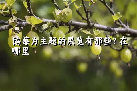 鹅莓为主题的展览有那些？在哪里