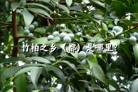 竹柏之乡（都）是哪里？