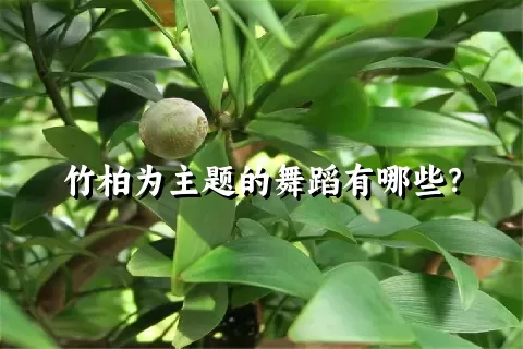 竹柏为主题的舞蹈有哪些？