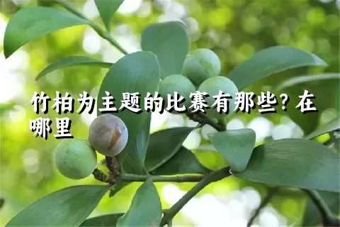 竹柏为主题的比赛有那些？在哪里