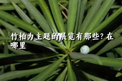 竹柏为主题的展览有那些？在哪里