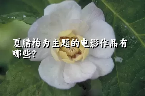 夏腊梅为主题的电影作品有哪些？