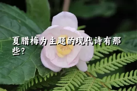 夏腊梅为主题的现代诗有那些？