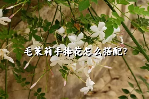 毛茉莉手捧花怎么搭配？