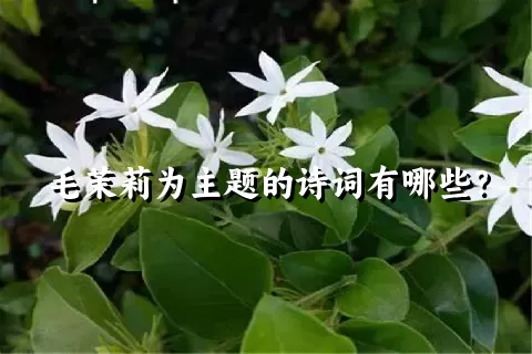 毛茉莉为主题的诗词有哪些？