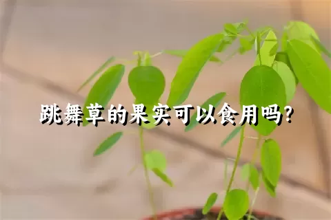 跳舞草的果实可以食用吗？