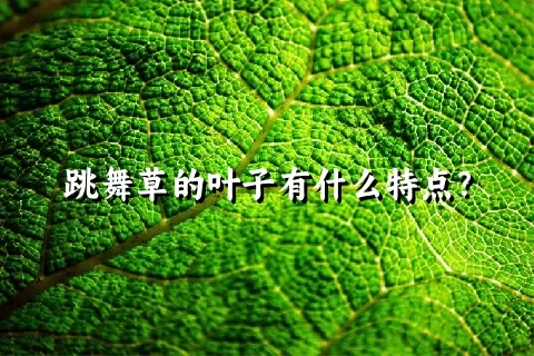 跳舞草的叶子有什么特点？