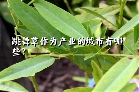 跳舞草作为产业的城市有哪些？