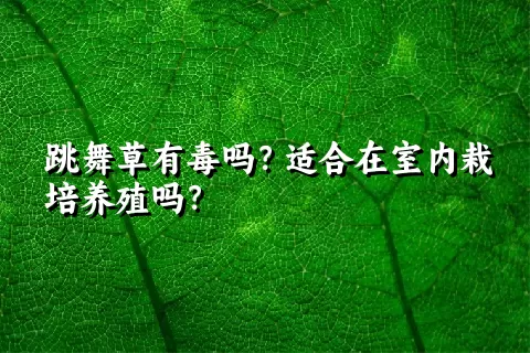 跳舞草有毒吗？适合在室内栽培养殖吗？