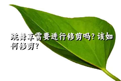 跳舞草需要进行修剪吗？该如何修剪？