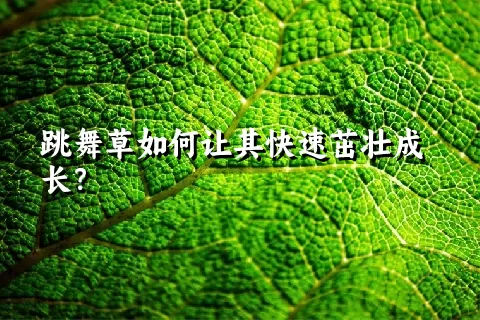 跳舞草如何让其快速茁壮成长？