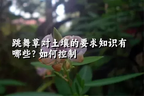 跳舞草对土壤的要求知识有哪些？如何控制