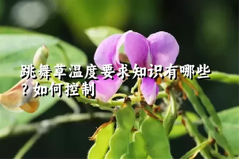 跳舞草温度要求知识有哪些？如何控制