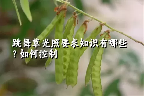 跳舞草光照要求知识有哪些？如何控制