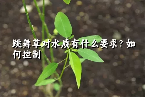 跳舞草对水质有什么要求？如何控制