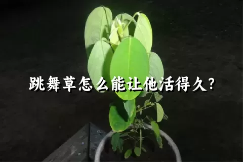 跳舞草怎么能让他活得久？