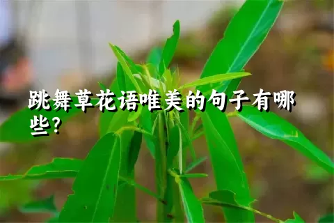 跳舞草花语唯美的句子有哪些？