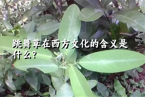 跳舞草在西方文化的含义是什么？