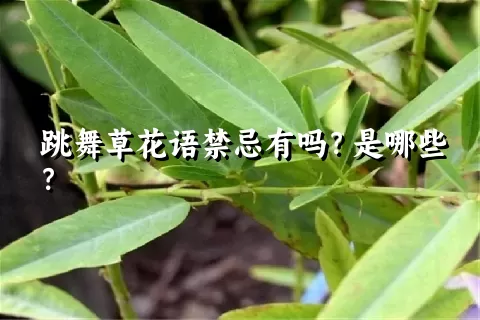 跳舞草花语禁忌有吗？是哪些？