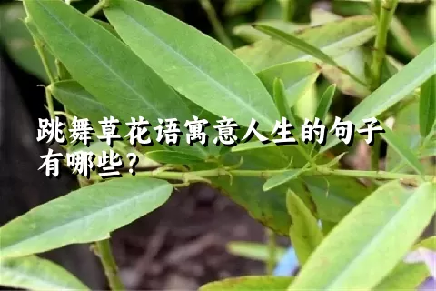 跳舞草花语寓意人生的句子有哪些？