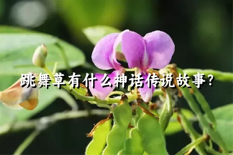 跳舞草有什么神话传说故事？