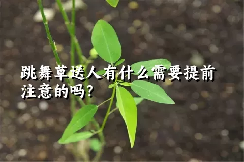 跳舞草送人有什么需要提前注意的吗？