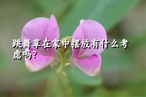 跳舞草在家中摆放有什么考虑吗？