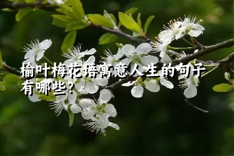 榆叶梅花语寓意人生的句子有哪些？