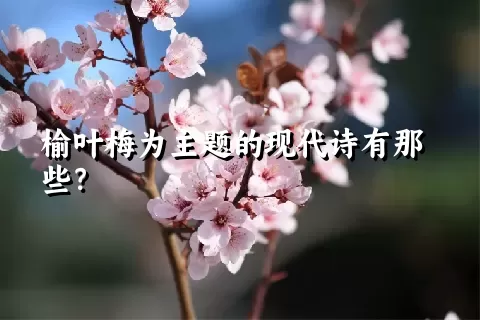 榆叶梅为主题的现代诗有那些？