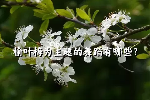 榆叶梅为主题的舞蹈有哪些？