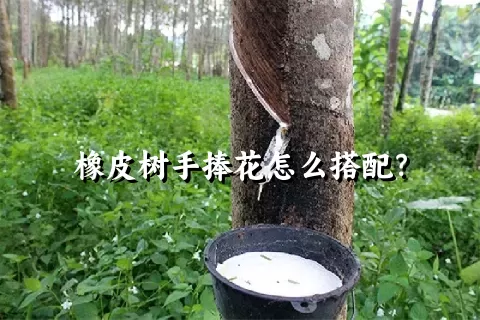 橡皮树手捧花怎么搭配？