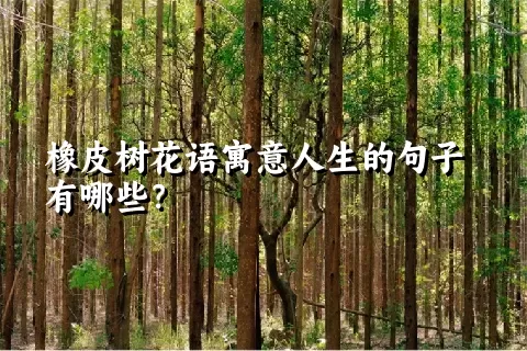 橡皮树花语寓意人生的句子有哪些？