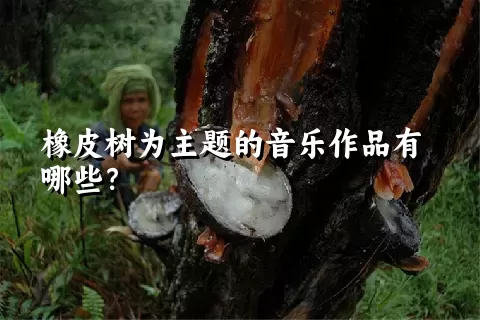 橡皮树为主题的音乐作品有哪些？