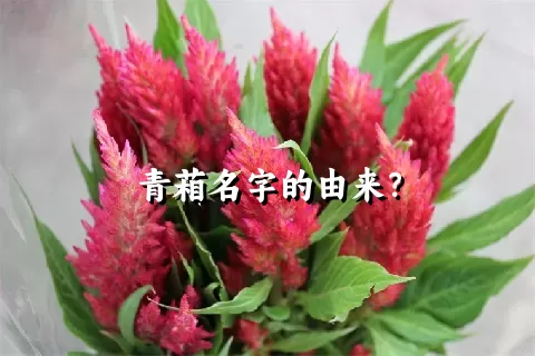 青葙名字的由来？