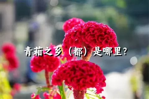 青葙之乡（都）是哪里？