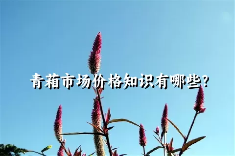 青葙市场价格知识有哪些？