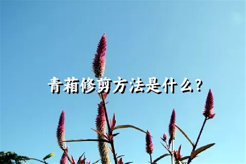 青葙修剪方法是什么？